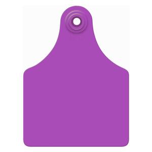 Allflex Global Blank Maxi Cattle ID Ear Tags Purple - Item # 16837