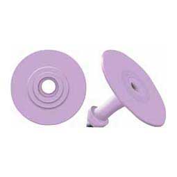 Allflex Global Blank Small Cattle ID Ear Tags Purple - Item # 16838