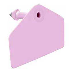 Global Hog Ear Tags - Blank Hog ID Tags Purple - Item # 16846