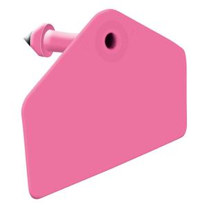 Allflex Global Hog Ear Tags Blank Hog ID Tags Magenta - Item # 16846