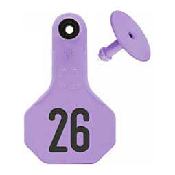 Numbered Small Cattle ID Ear Tags Purple - Item # 16858