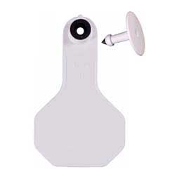 Blank Small Cattle ID Ear Tags White - Item # 16861