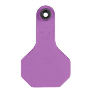 Blank Small Cattle ID Ear Tags Purple - Item # 16861