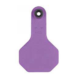 Blank Small Cattle ID Ear Tags Purple - Item # 16861
