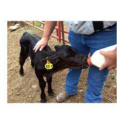 Blank Small Cattle ID Ear Tags Yellow - Item # 16861