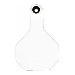 Blank Medium Cattle ID Ear Tags White - Item # 16862