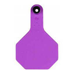 Blank Medium Cattle ID Ear Tags Purple - Item # 16862