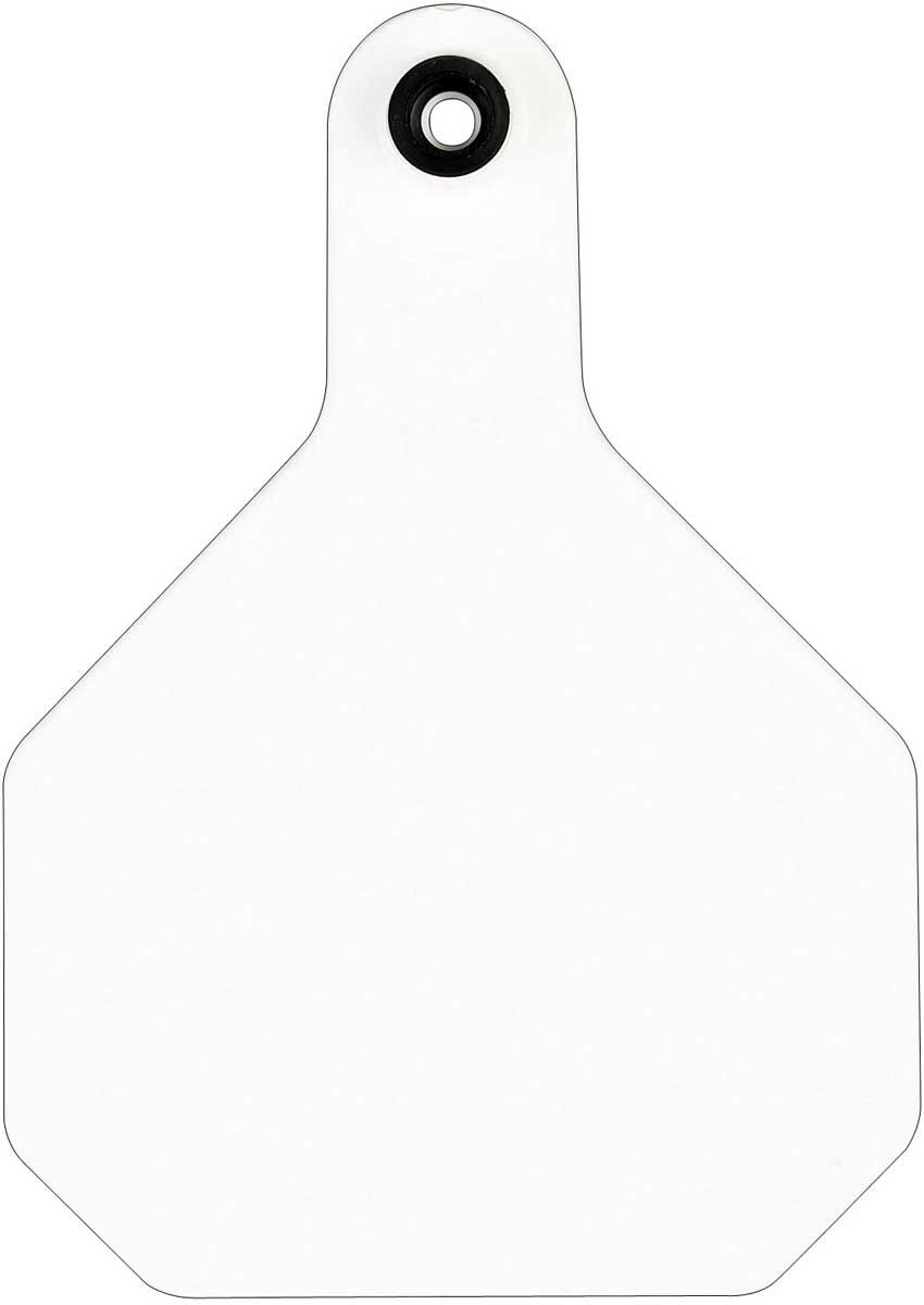 Blank Large Cattle ID Ear Tags YTex YTex Ear Tags Farm