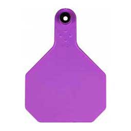 Blank Large Cattle ID Ear Tags Purple - Item # 16863