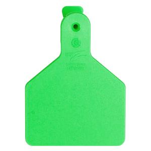 No-Snag Blank Calf ID Ear Tags Green 100 ct - Item # 16882
