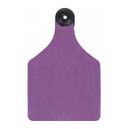 Universal 3-in Blank Large Cattle ID Ear Tags Purple/White Center - Item # 16884