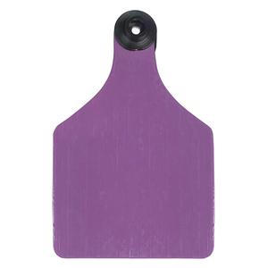 Universal 3-in Blank Large Cattle ID Ear Tags Purple/White Center - Item # 16884