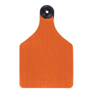 Universal 3-in Blank Large Cattle ID Ear Tags Orange/Black Center - Item # 16884