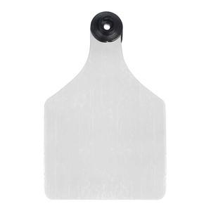 Universal 3-in Blank Large Cattle ID Ear Tags White/Black Center - Item # 16884