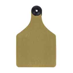 Universal 3-in Blank Large Cattle ID Ear Tags Gold/Black Center - Item # 16884