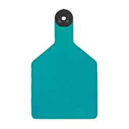 Universal 3-in Blank Large Cattle ID Ear Tags Turquoise/Black Center - Item # 16884