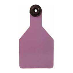 Universal Blank Medium Cattle ID Ear Tags Purple/White Center - Item # 16886