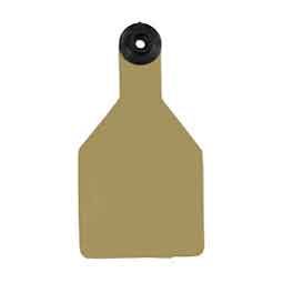 Universal Blank Medium Cattle ID Ear Tags Gold/Black Center - Item # 16886