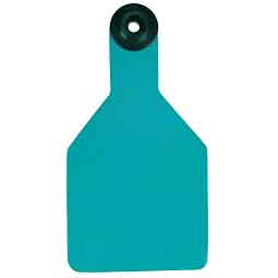 Universal Blank Medium Cattle ID Ear Tags Turquoise/Black Center - Item # 16886