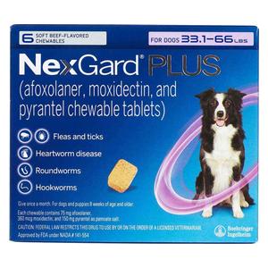 NexGard Plus Chewable Tablets for Dogs 33.1-66 lbs 6 ct - Item # 1694RX