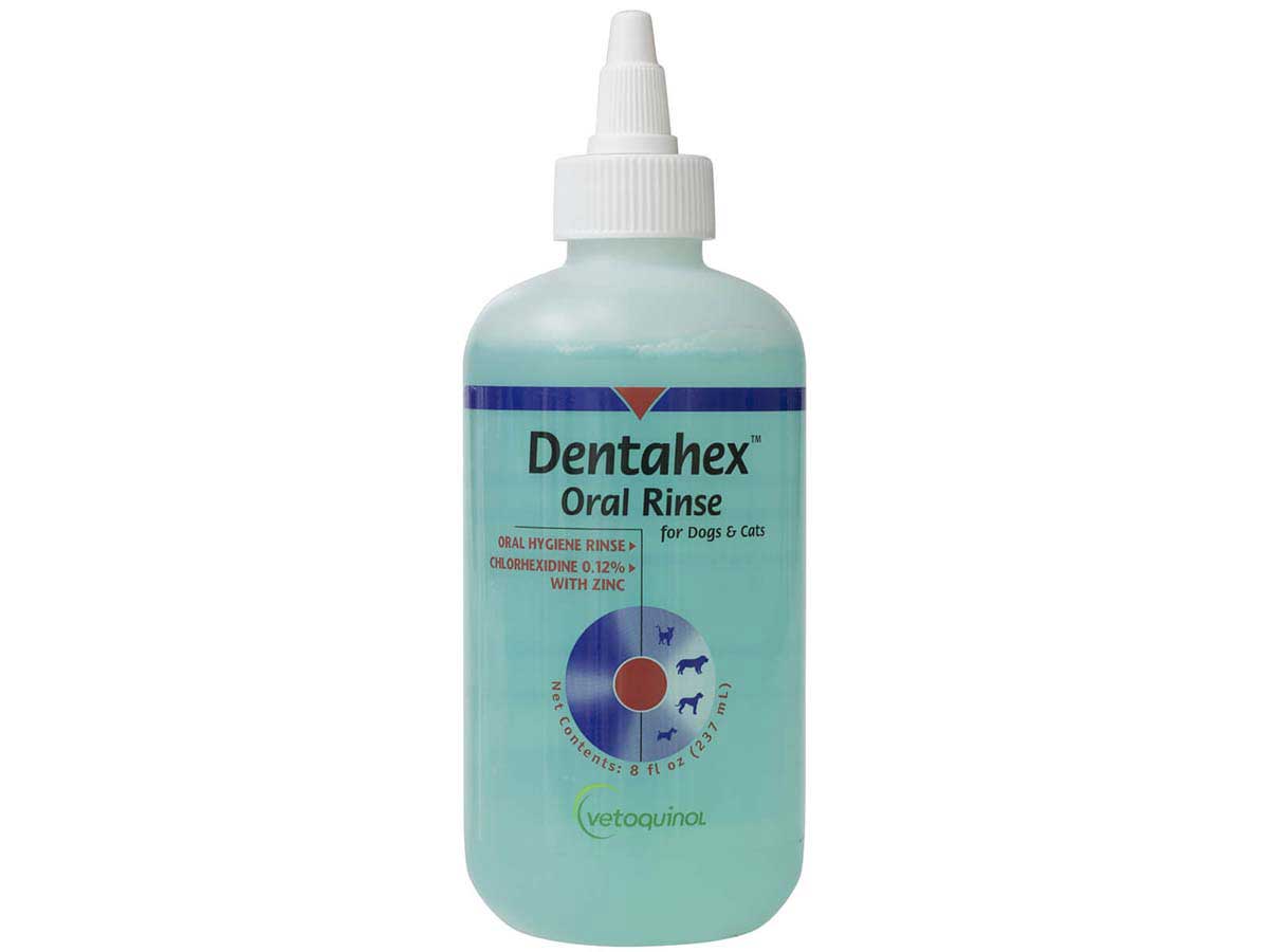 Dentahex Oral Rinse for Dogs Cats Vetoquinol Dental Health Pet
