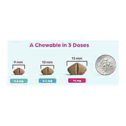 Apoquel Chewable Tablets for Dogs 16 mg 250 ct - Item # 1712RX