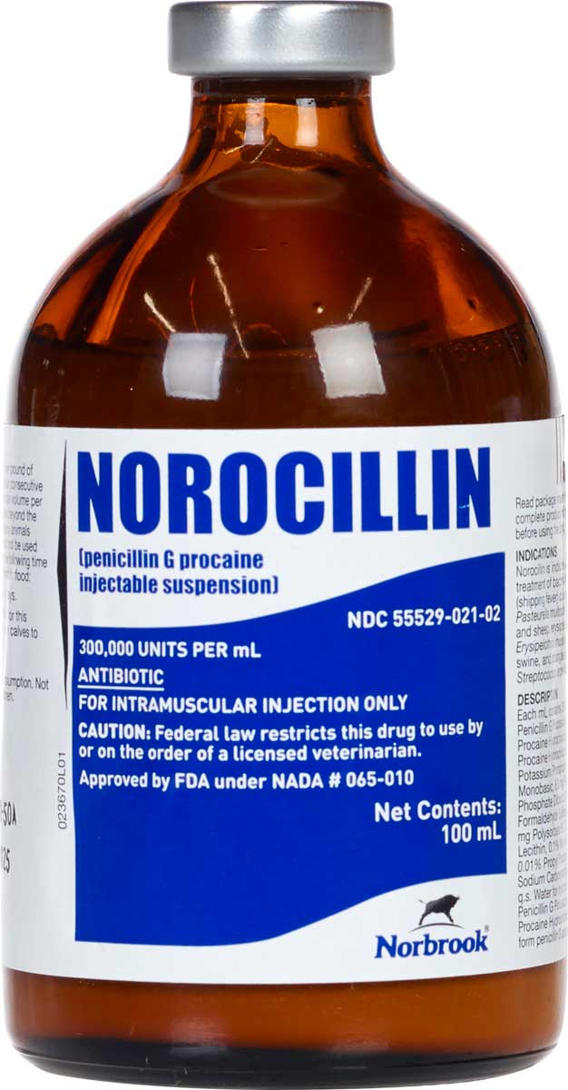 Valley Vet - Norocillin Penicillin G Procaine Injectable for Cattle ...