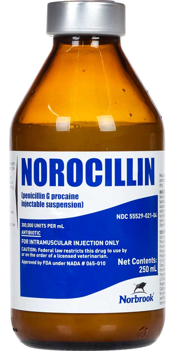 Valley Vet - Norocillin Penicillin G Procaine Injectable for Cattle ...