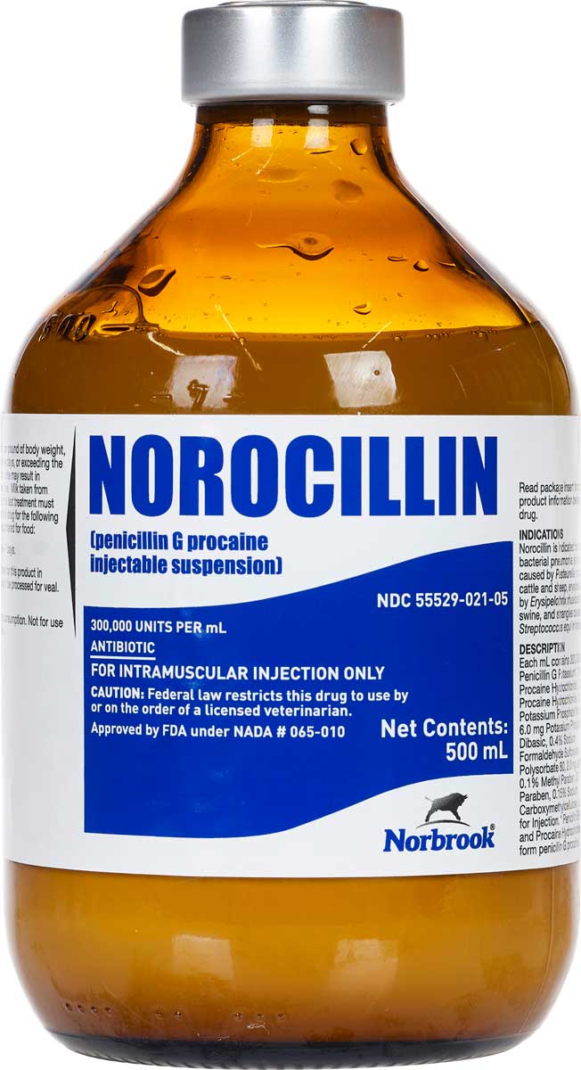 Penicillin Injection