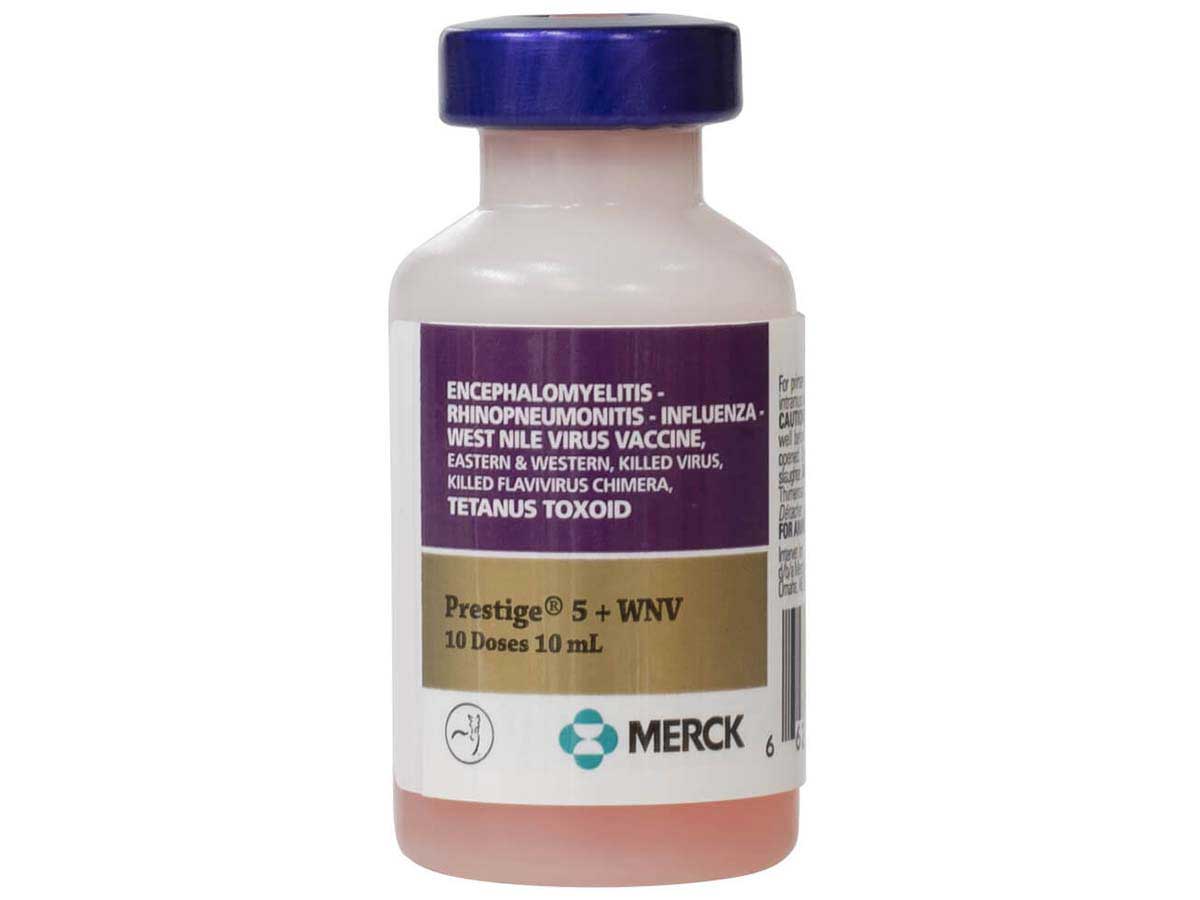 Prestige 5 + WNV Equine Vaccine Merck - West Nile Virus | Vaccines | Equine
