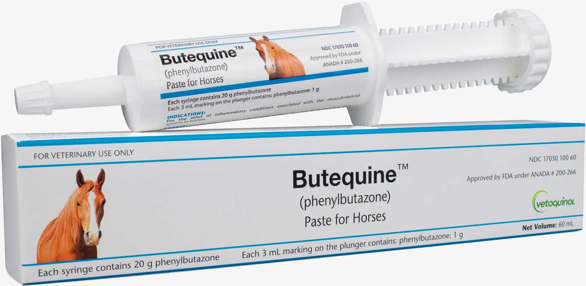 Butequine Phenylbutazone Paste for Horses Vetoquinol - Valley Vet ...