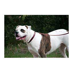 Heritage Choice Dog Collar Burgundy - Item # 17424