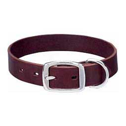 Heritage Choice Dog Collar Burgundy 1 x 21 in - Item # 17425
