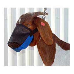 Deluxe Adjustable Goat/Sheep Muzzle Hurricane Blue - Item # 17510