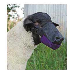Deluxe Adjustable Goat/Sheep Muzzle Purple Jazz - Item # 17510