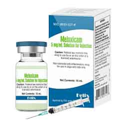 Meloxicam Solution for Injection for Dogs and Cats 5 mg/ml 10 ml - Item # 1754RX