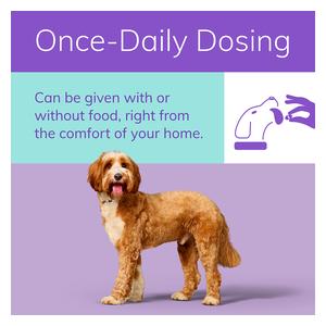 Zenrelia (ilunocitinib) Tablets for Dogs 15 mg 90 ct - Item # 1769RX