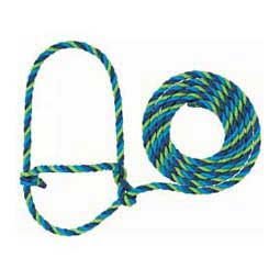 Cattle Poly Halters Blue/Lime - Item # 17731