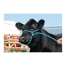 Cattle Poly Halters Blue/Lime - Item # 17731
