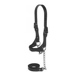 Flat Leather Halter Black S (650-1000 lb calves) - Item # 17733