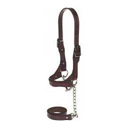 Flat Leather Halter Brown S (650 - 1000 lb calves) - Item # 17733