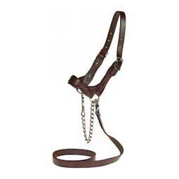 Flat Leather Halter Brown M (850-1400 lb) - Item # 17734