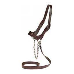 Flat Leather Halter Brown M (850 - 1400 lbs) - Item # 17734