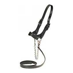 Flat Leather Halter Black L (1400-1650 lb) - Item # 17735