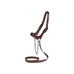 Flat Leather Halter Brown L (1400-1650 lb) - Item # 17735
