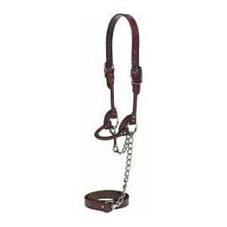 Round Leather Halter Brown XS (350-650 lb calves) - Item # 17739