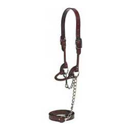 Round Leather Halter Brown S (650-1000 lb calves) - Item # 17740