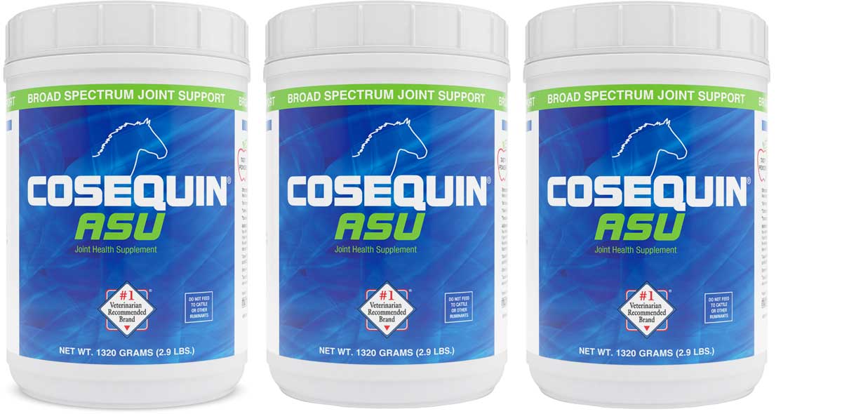 Cosequin asu hotsell for dogs