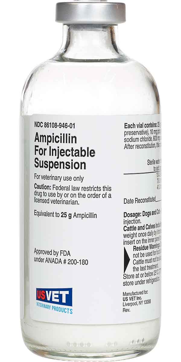 Valley Vet - Ampicillin Powder for Injectable Suspension for Cattle ...
