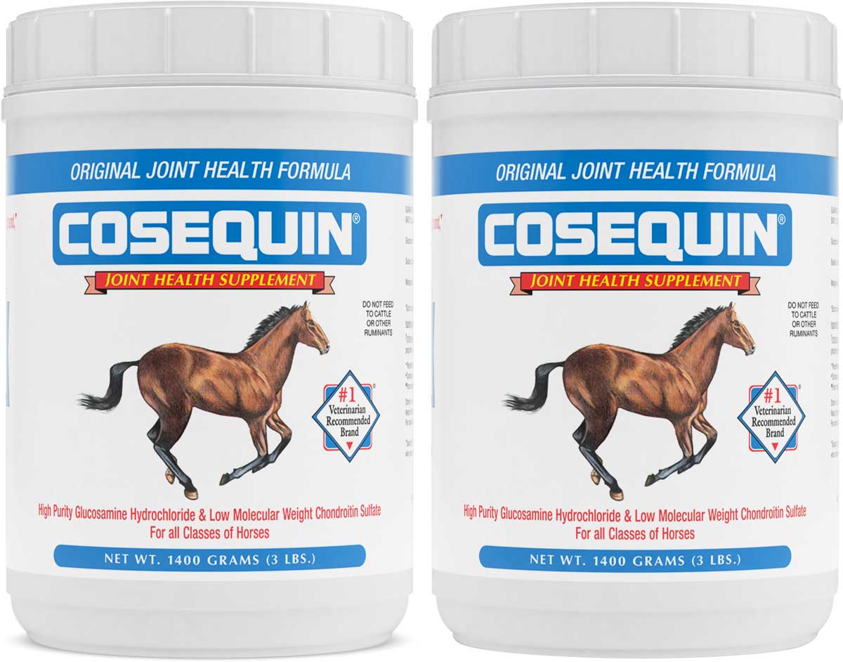 Horse Joint Supplement Comparison Chart